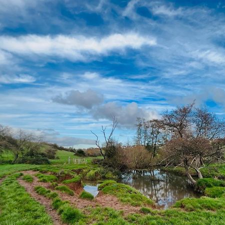Dapps Hill Haven - Between Bristol And Bath, Both 9 Mins By Train! Keynsham Eksteriør bilde