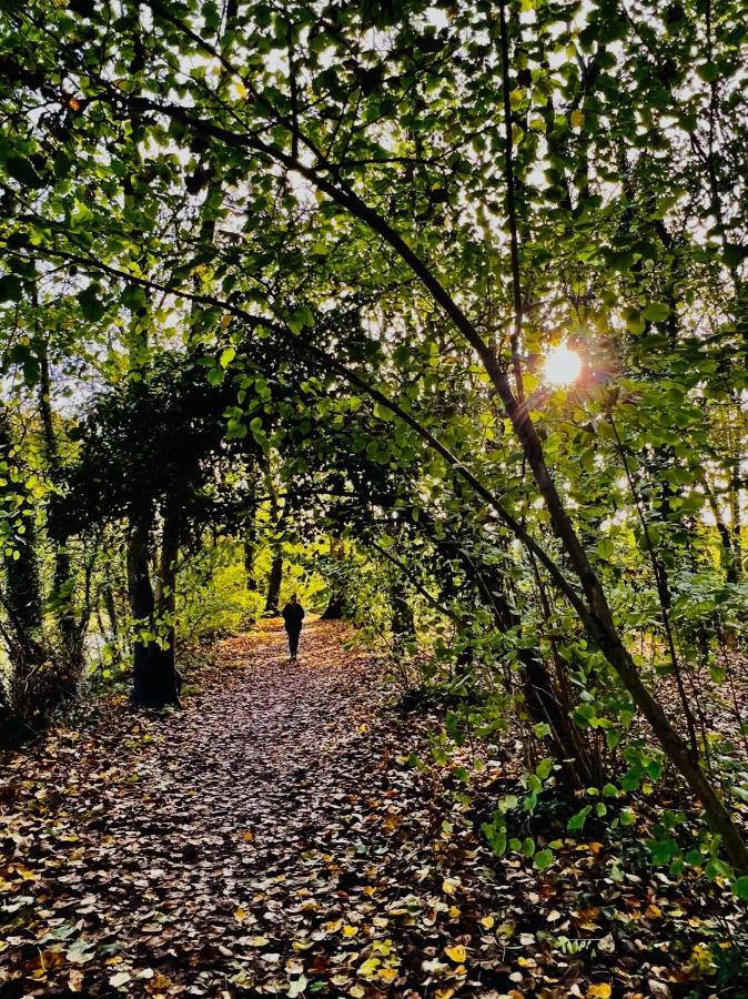 Dapps Hill Haven - Between Bristol And Bath, Both 9 Mins By Train! Keynsham Eksteriør bilde