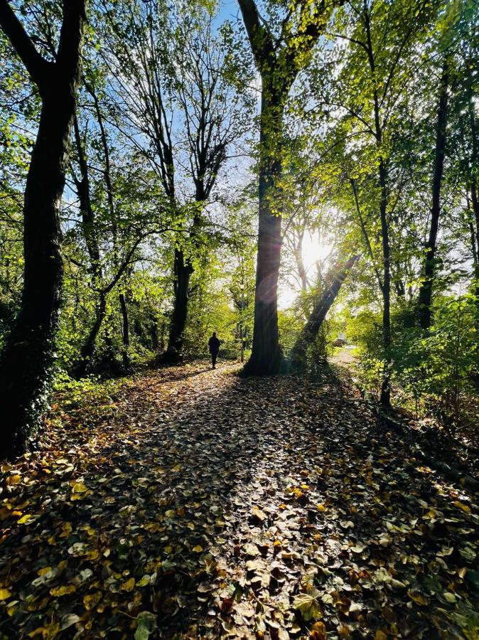 Dapps Hill Haven - Between Bristol And Bath, Both 9 Mins By Train! Keynsham Eksteriør bilde